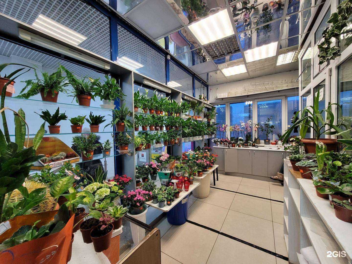 Отзывы на компанию Grand Flowers в г. Якутск c фото