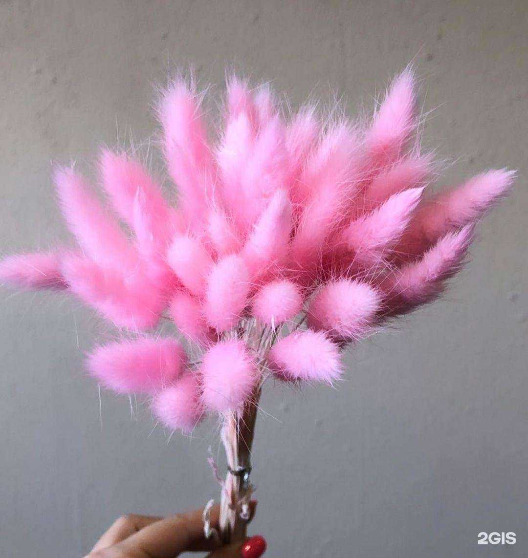 Отзывы на компанию Артишок в Сочи c фото