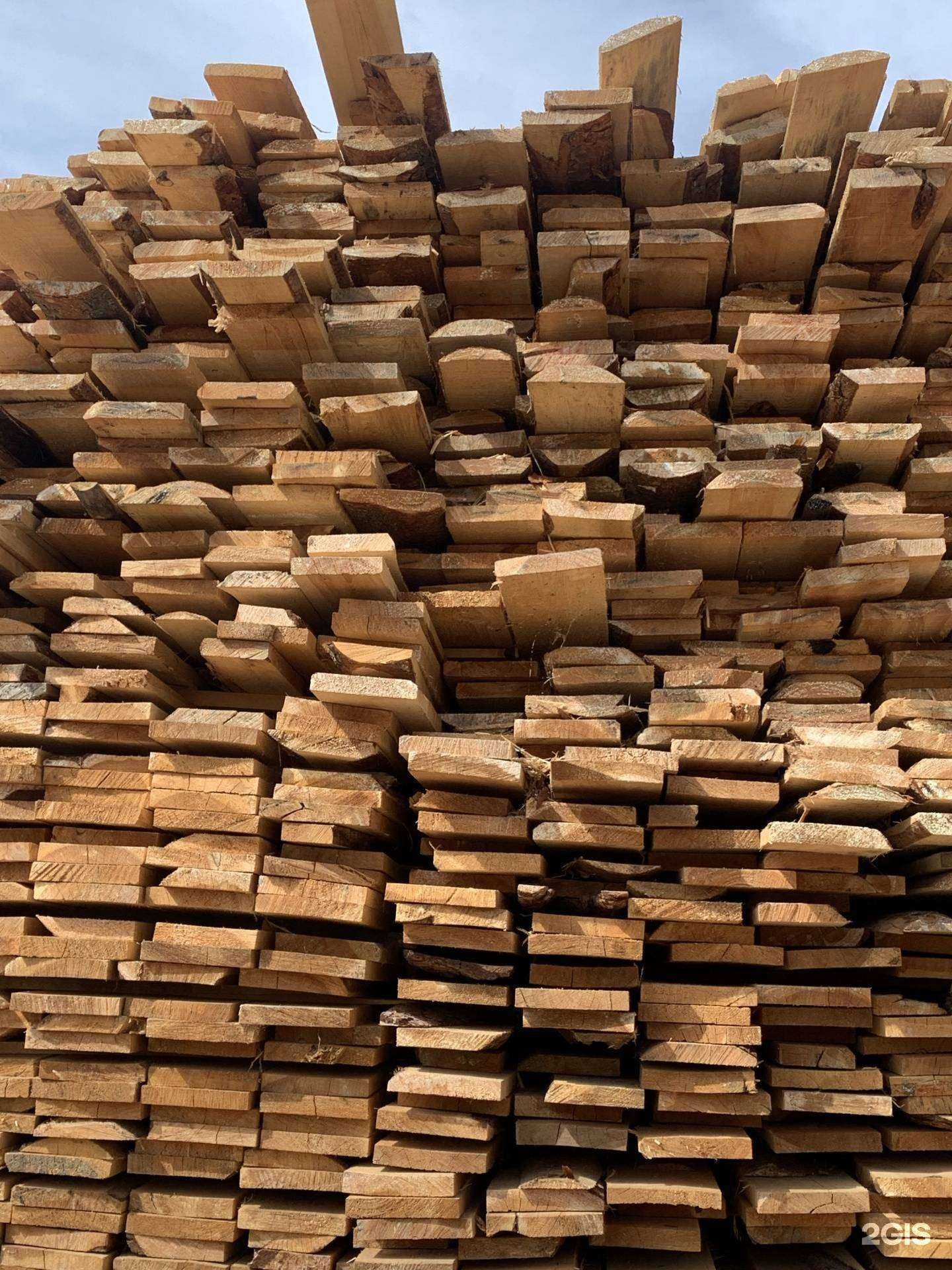 Отзывы на компанию Авиатор в Сургуте c фото