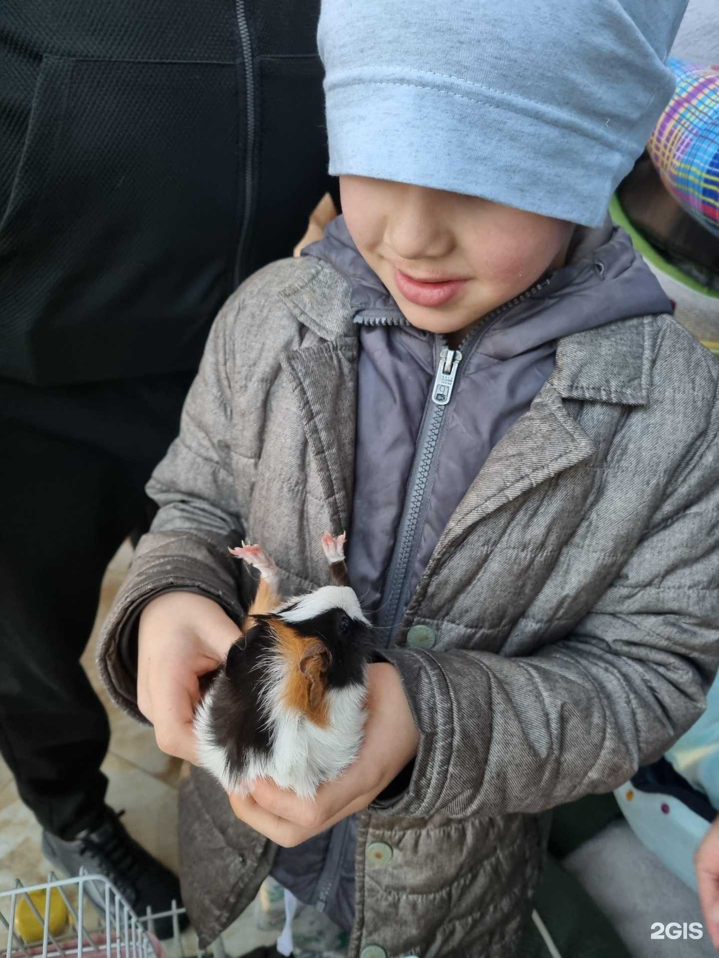 Отзывы на компанию My zoo shop в Новороссийске c фото