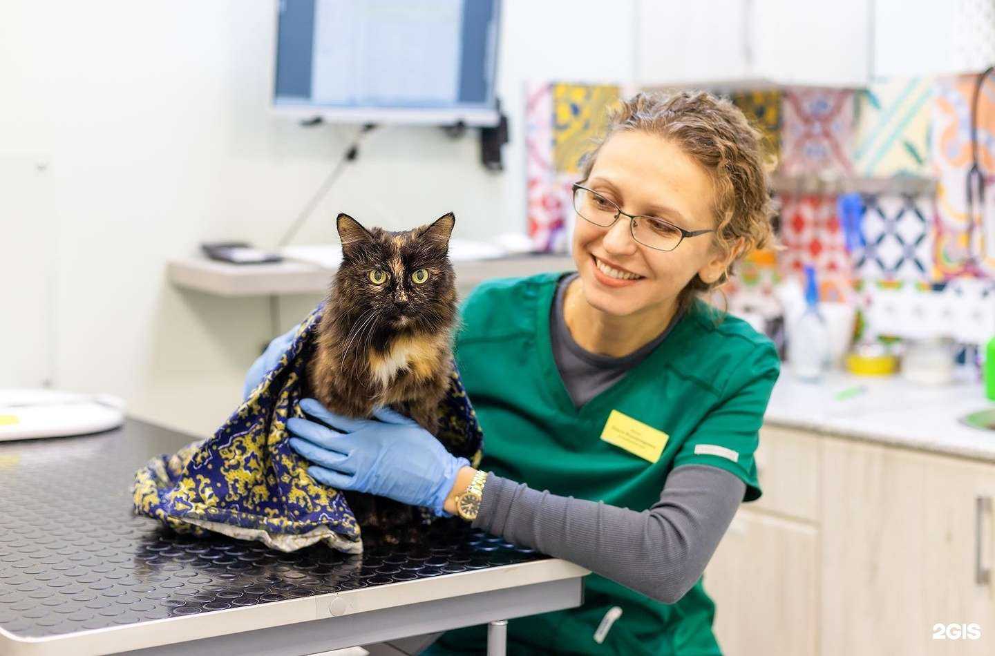 Отзывы на компанию Возрождение в Вологде c фото