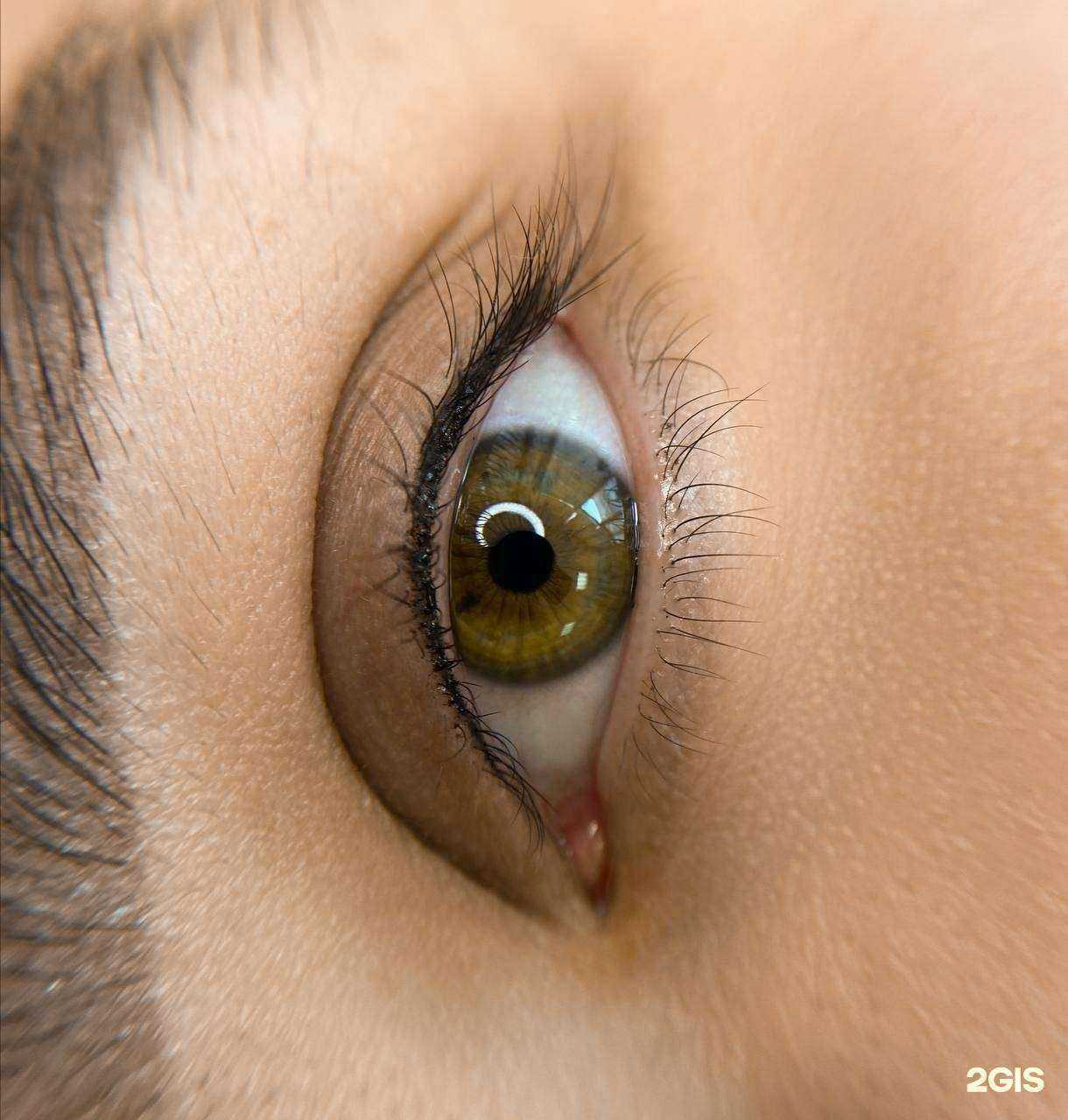 Отзывы на компанию Брови на миллион в Белгороде c фото