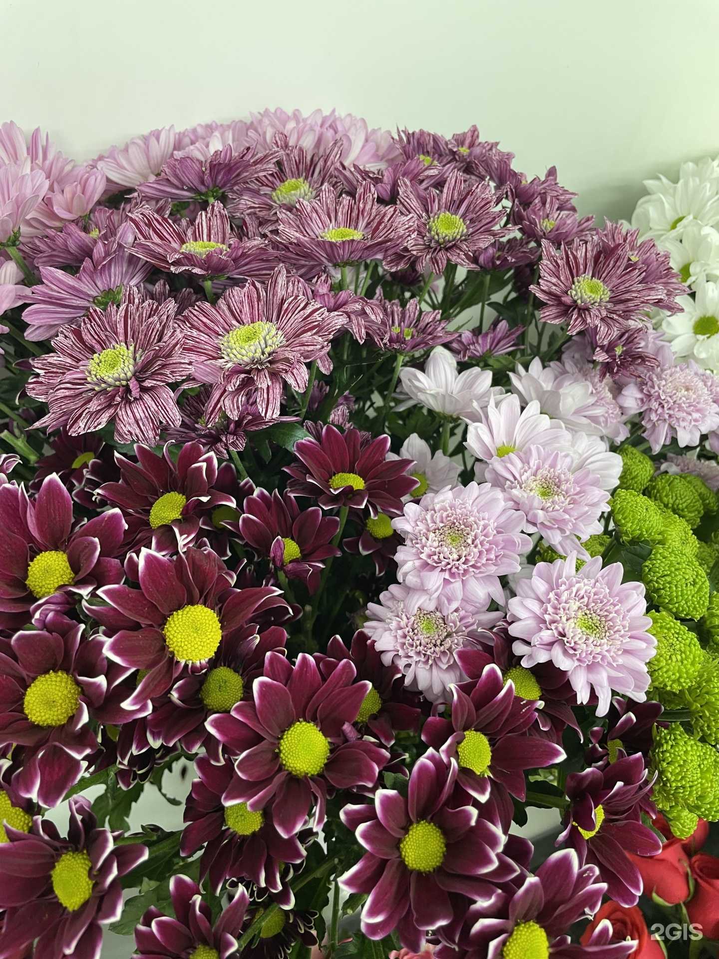 Отзывы на компанию Дом цветов в Кемерове c фото