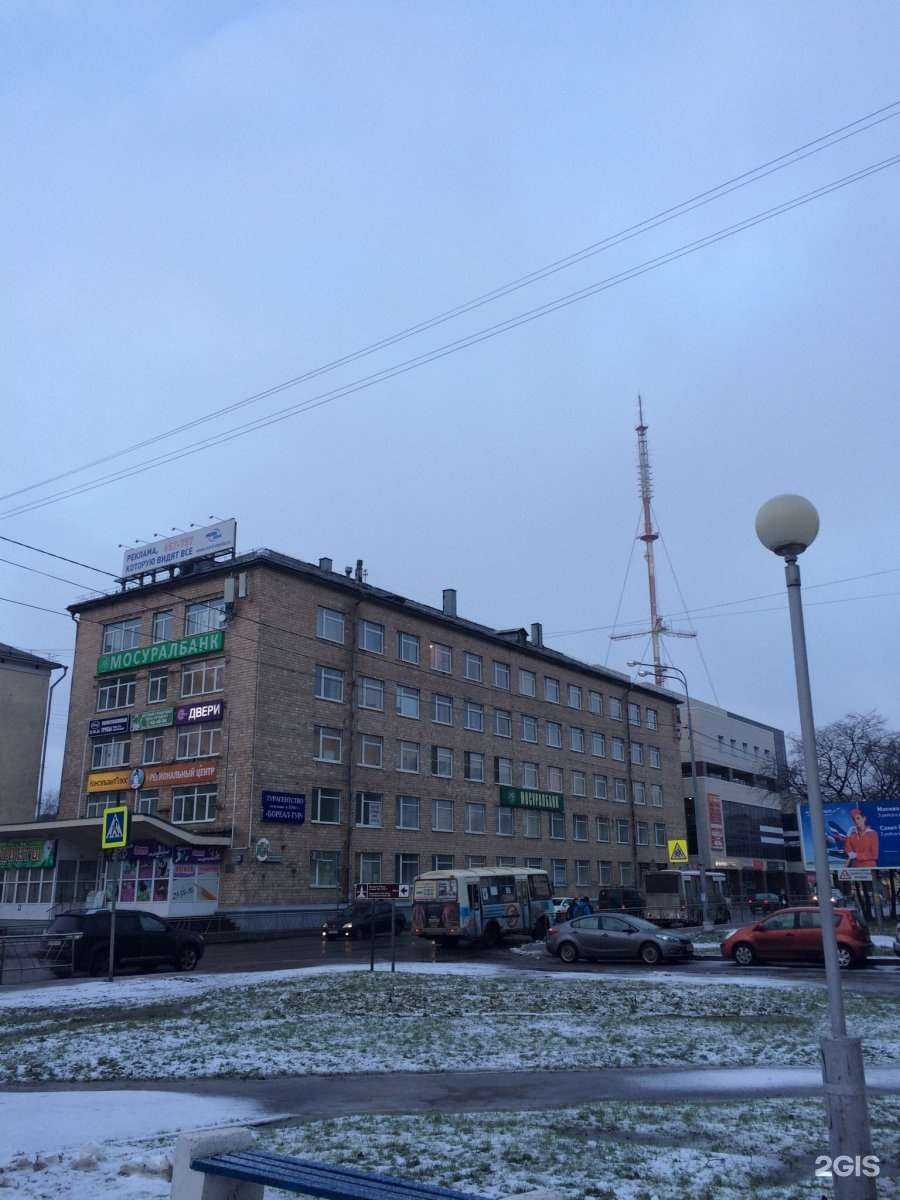 Отзывы на компанию Живые цветы в Архангельске c фото - фотография 2 из 2