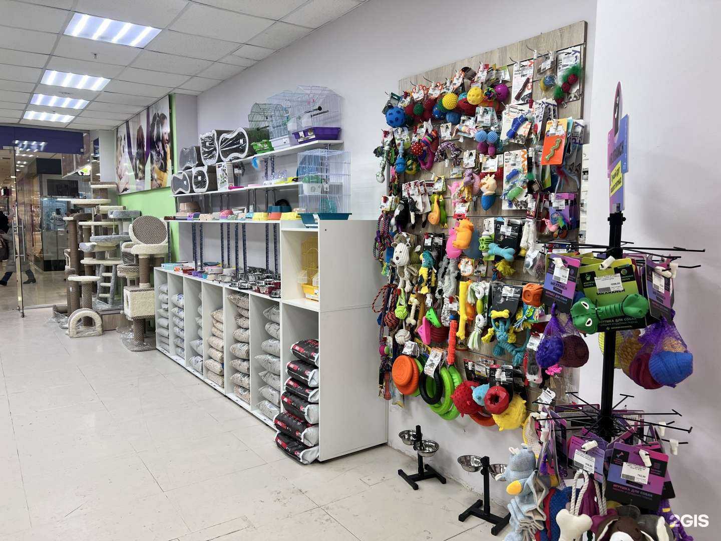 Отзывы на компанию ЗооГрад в г. Ижевск c фото