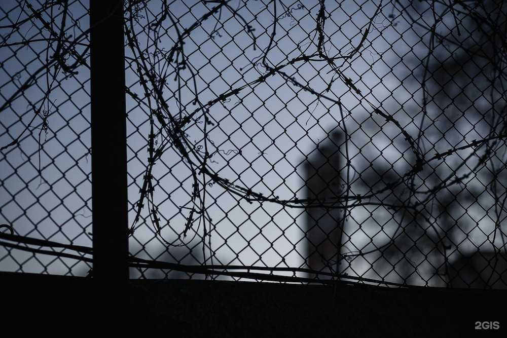 Отзывы на компанию Детский Сад №69 в Самаре c фото - фотография 2 из 2