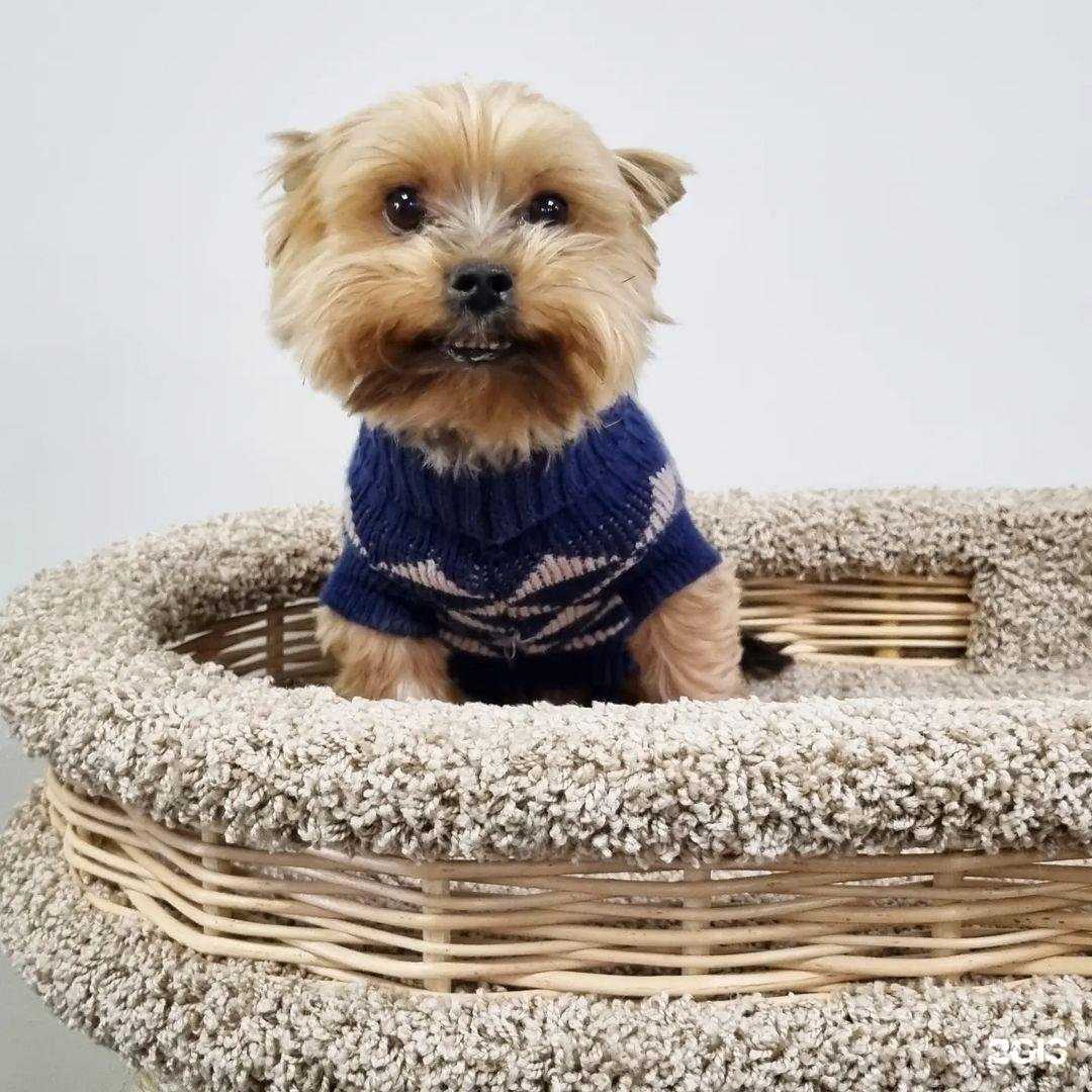 Отзывы на компанию Любимчик в г. Хабаровск c фото