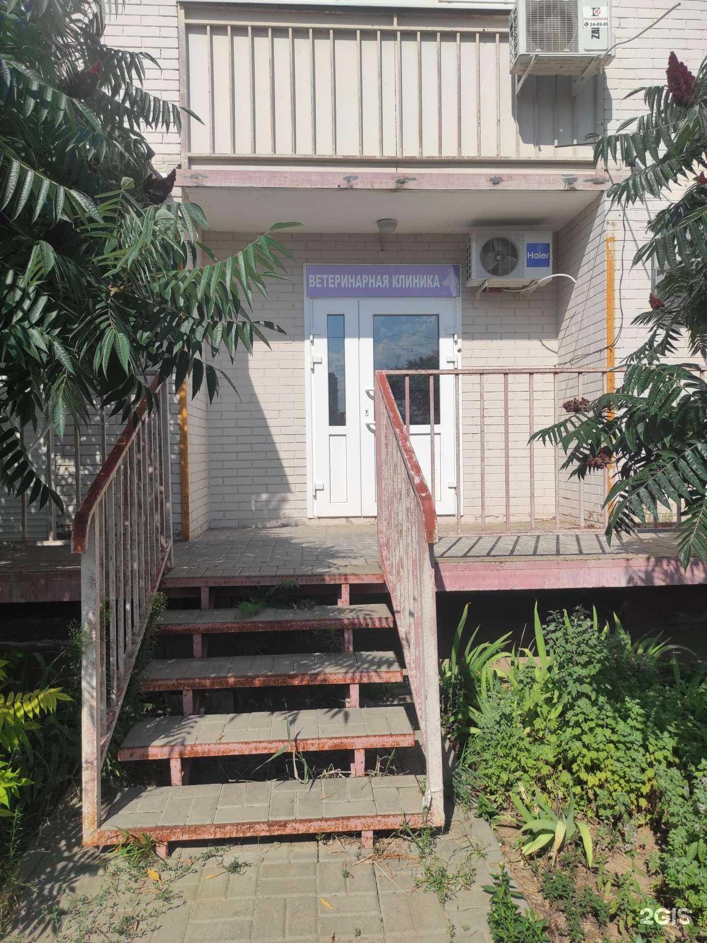 Отзывы на компанию Amigo в Волгодонске c фото