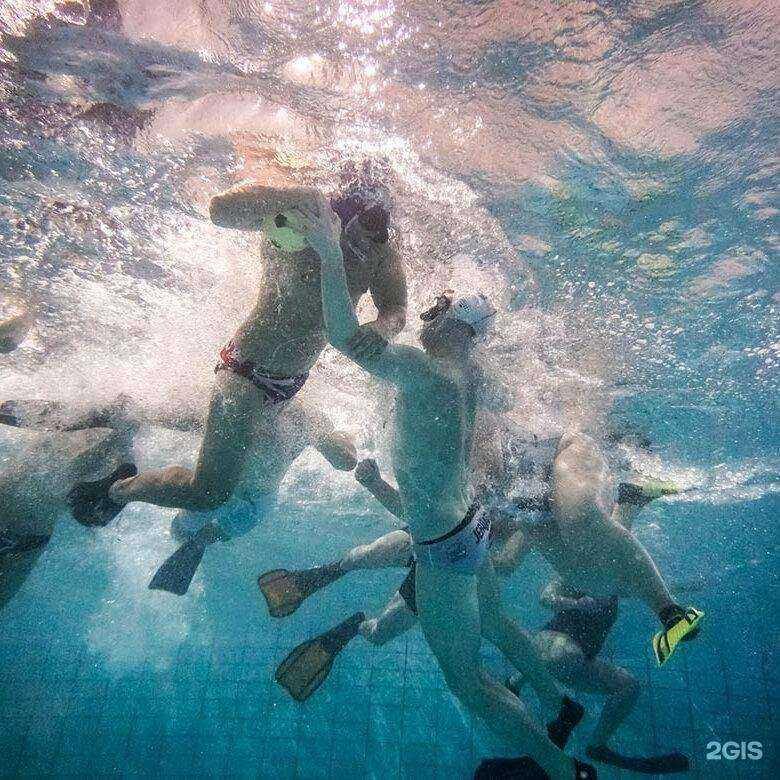 Отзывы на компанию Олимп в г. Ивантеевка c фото