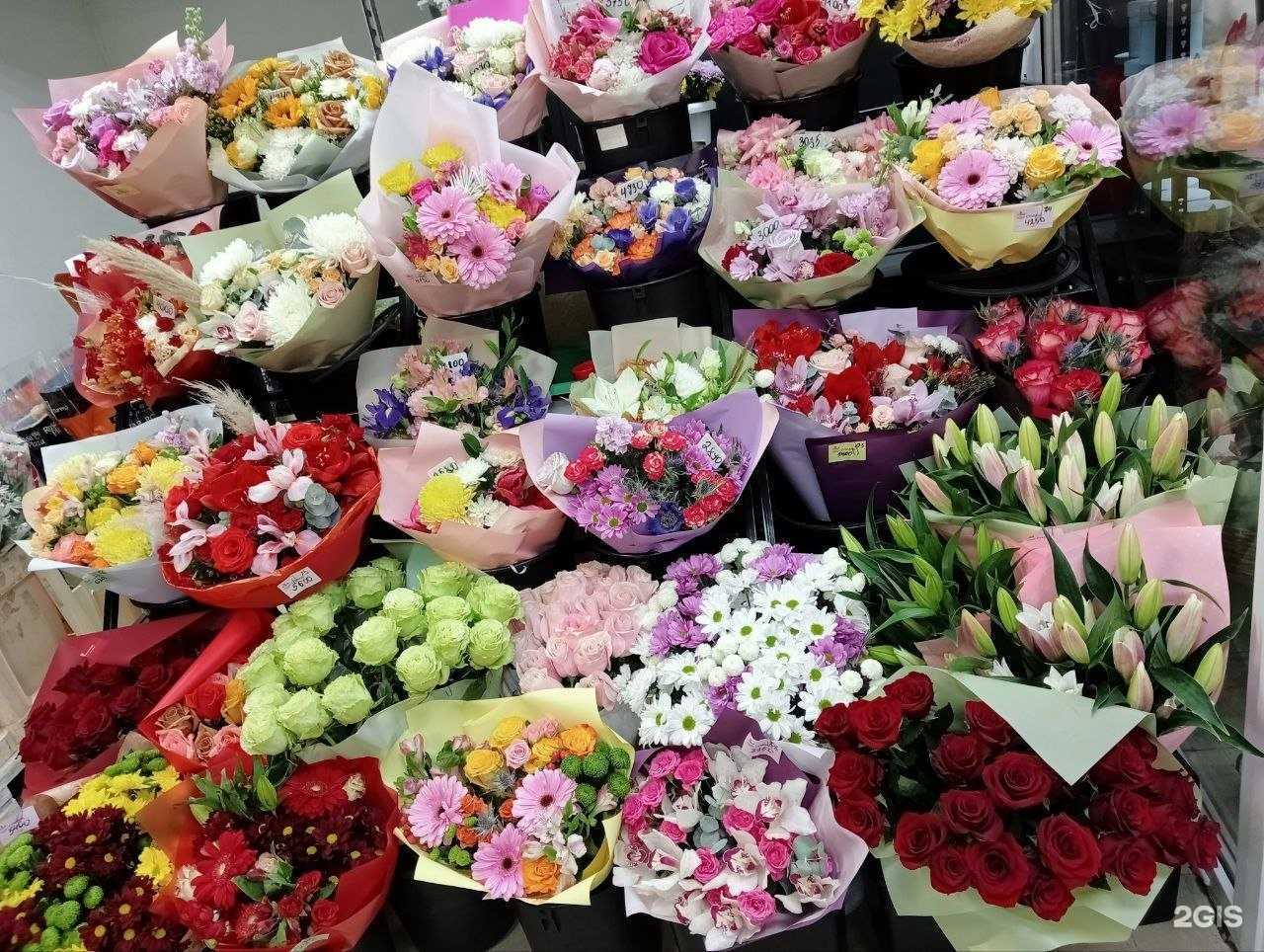 Отзывы на компанию Первый в г. Мурманск c фото