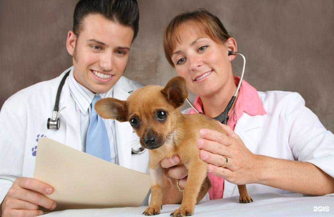 Отзывы на компанию ВИТА в г. Шахты c фото