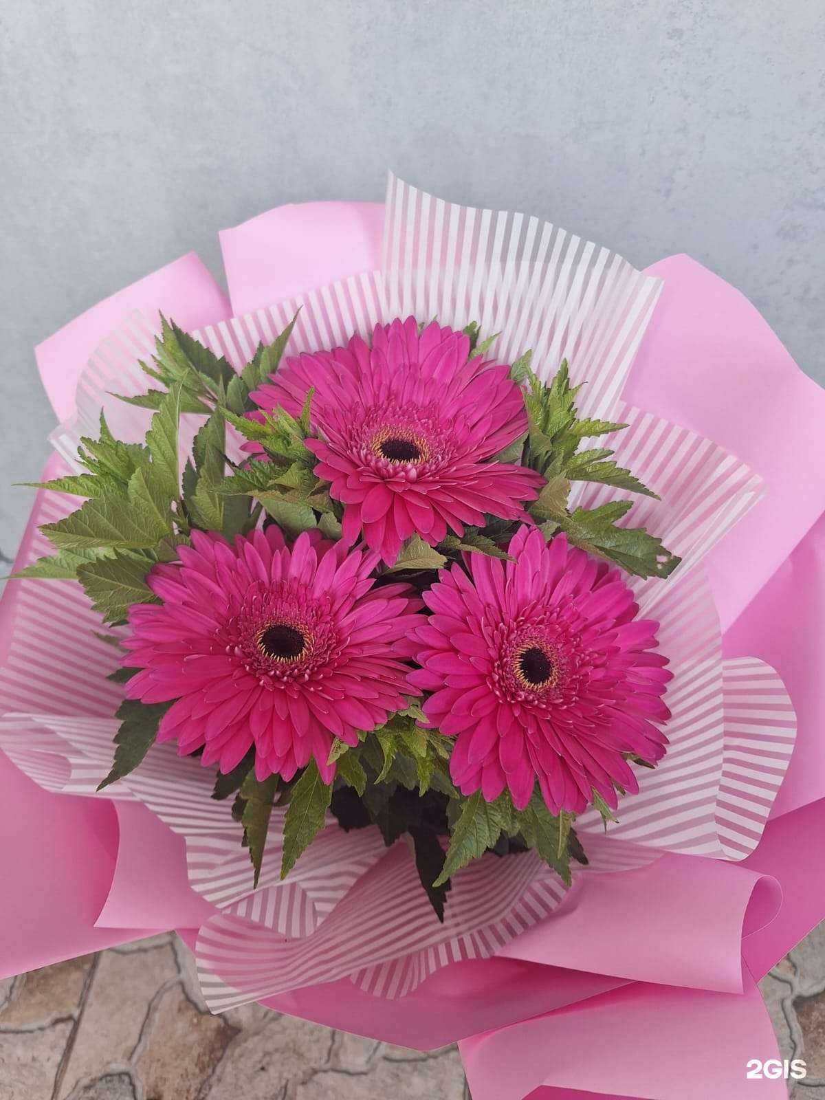 Отзывы на компанию Шик в г. Елабуга c фото