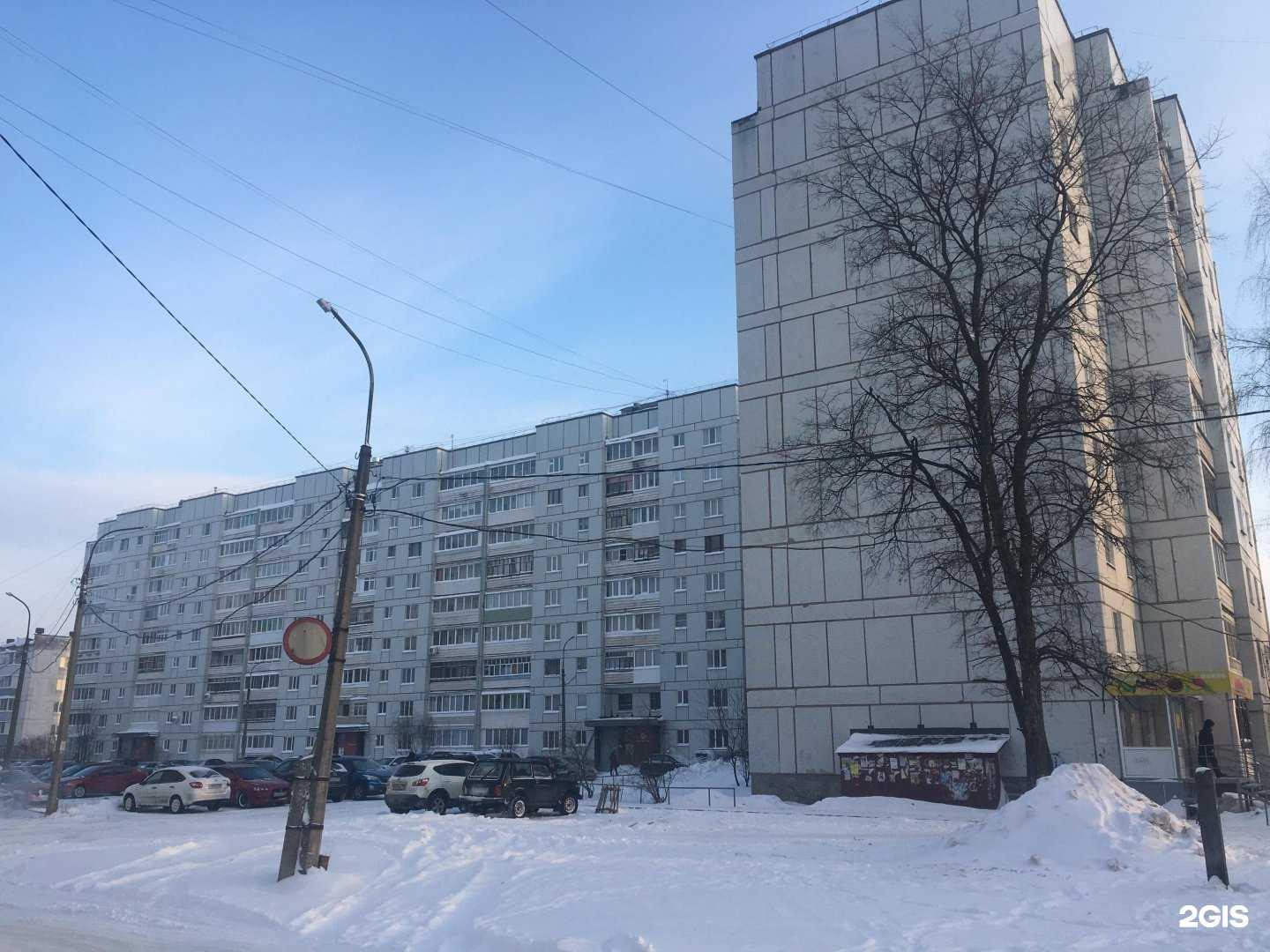 Отзывы на компанию Мой зверь в Чайковском c фото - фотография 2 из 2