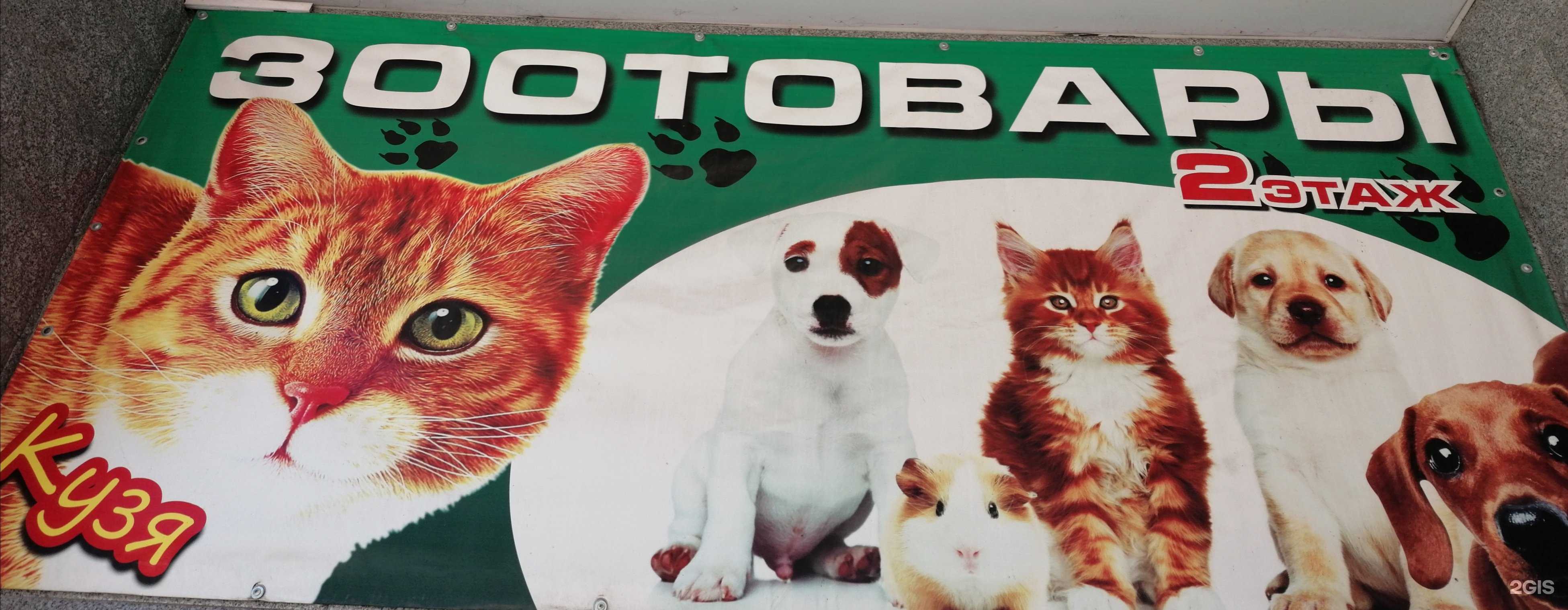 Отзывы на компанию Кузя в г. Уссурийск c фото