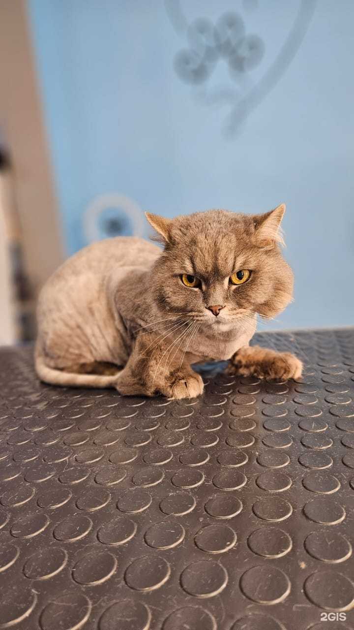 Отзывы на компанию Касягрум в г. Рязань c фото