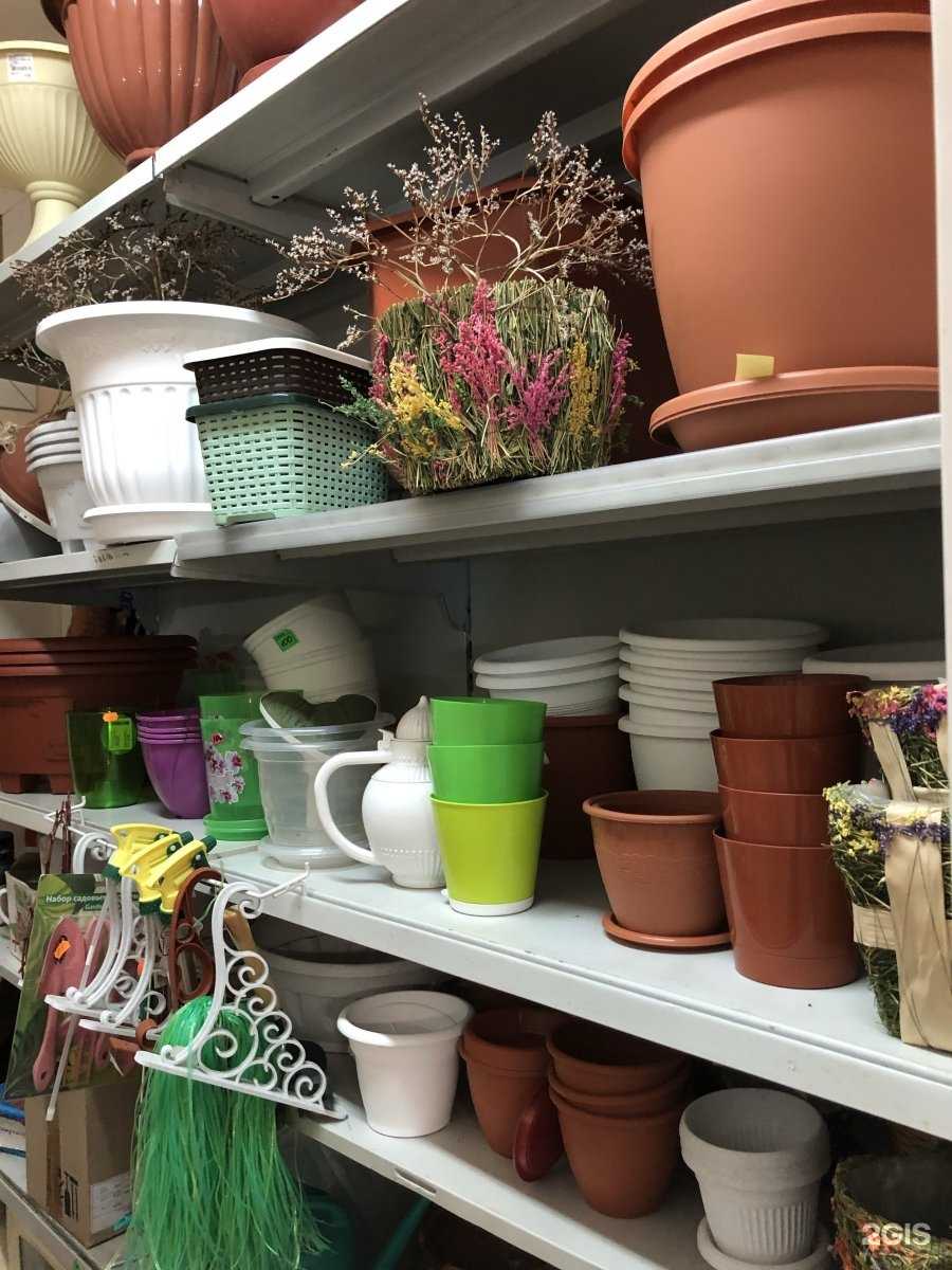 Отзывы на компанию Ромашка в г. Саратов c фото