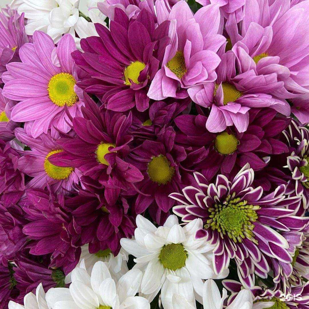 Отзывы на компанию Дачник в Кубинке c фото