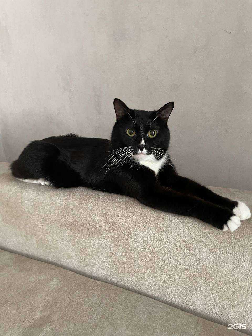 Отзывы на компанию Дымовой в Искитиме c фото