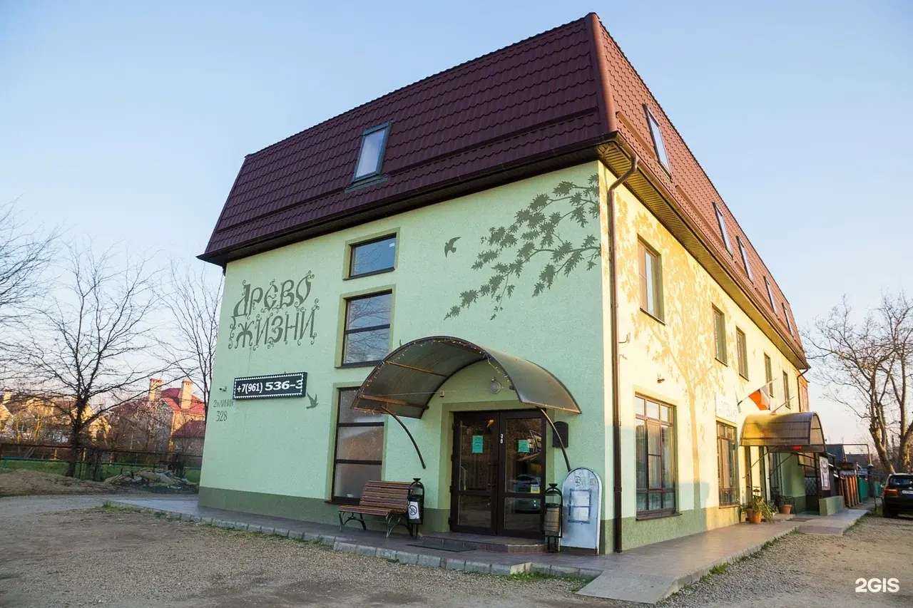 Отзывы на компанию Древо жизни в Краснодаре c фото