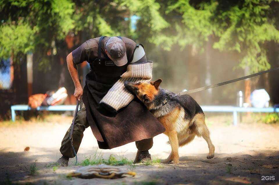 Отзывы на компанию Велес в г. Брянск c фото