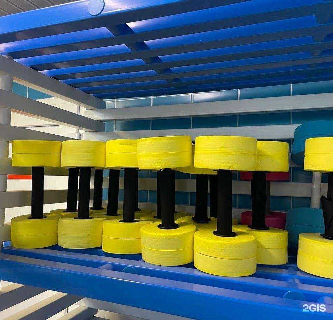 Отзывы на компанию Китенок с пеленок в Выборге c фото