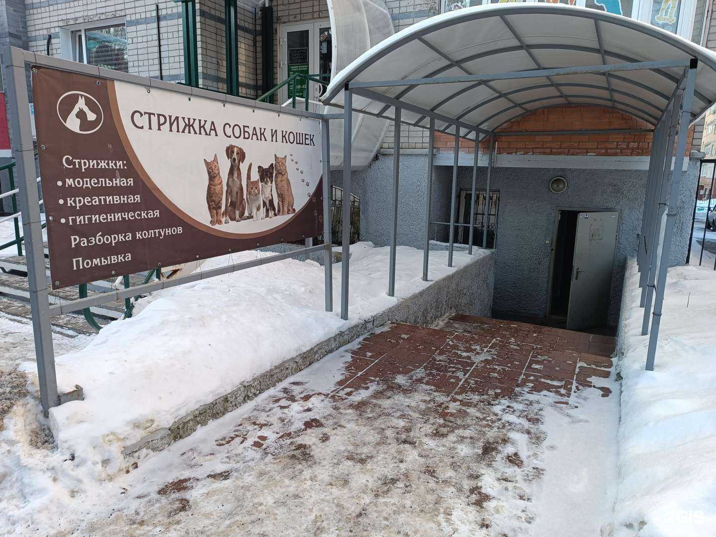 Отзывы на компанию Дама с собачкой в г. Киров c фото