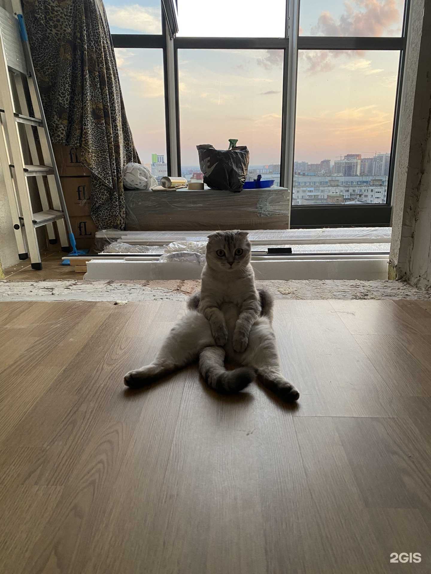 Отзывы на компанию Евролюкс в Новосибирске c фото