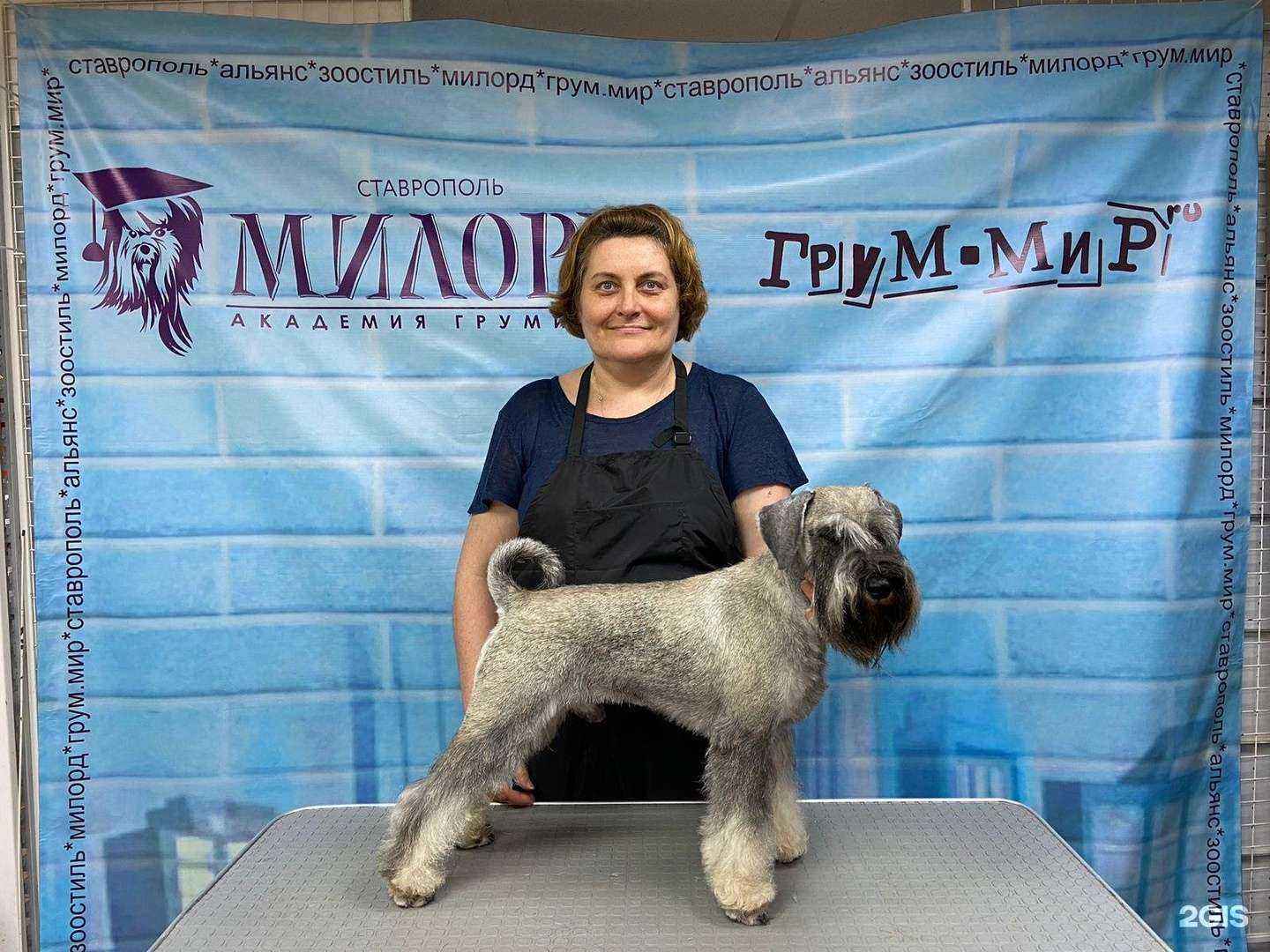 Отзывы на компанию Стильная штучка в г. Ставрополь c фото