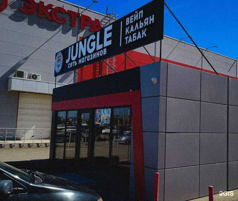 Отзывы на компанию Jungle в Анапе c фото