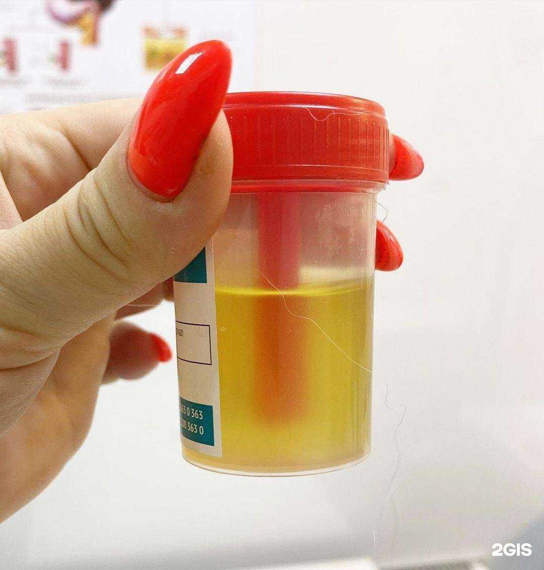 Отзывы на компанию Vet Planet в Анапе c фото