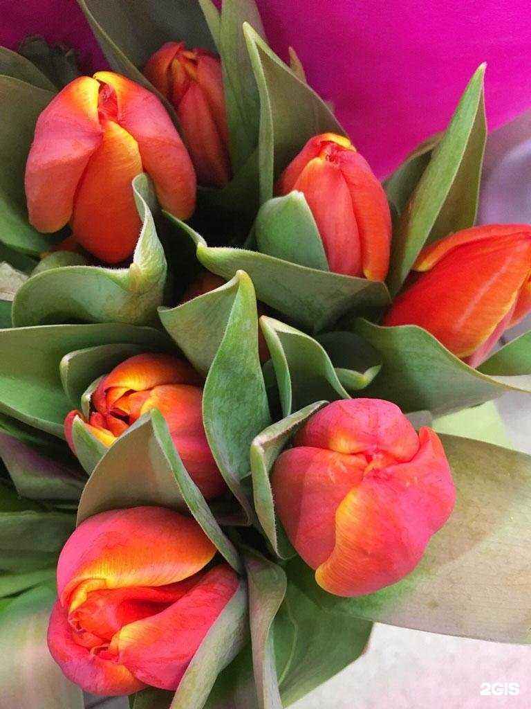 Отзывы на компанию Felicita в Луховицах c фото