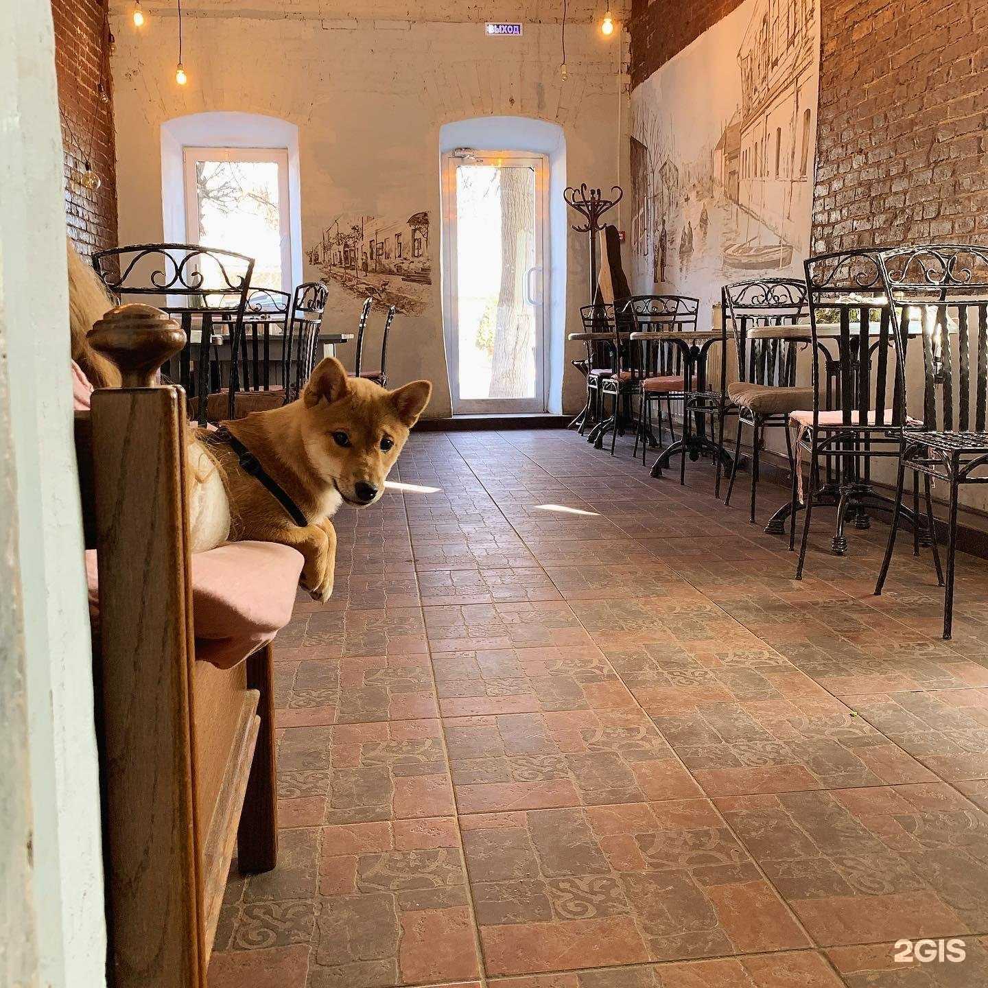 Отзывы на компанию Где-то здесь в Тарусе c фото