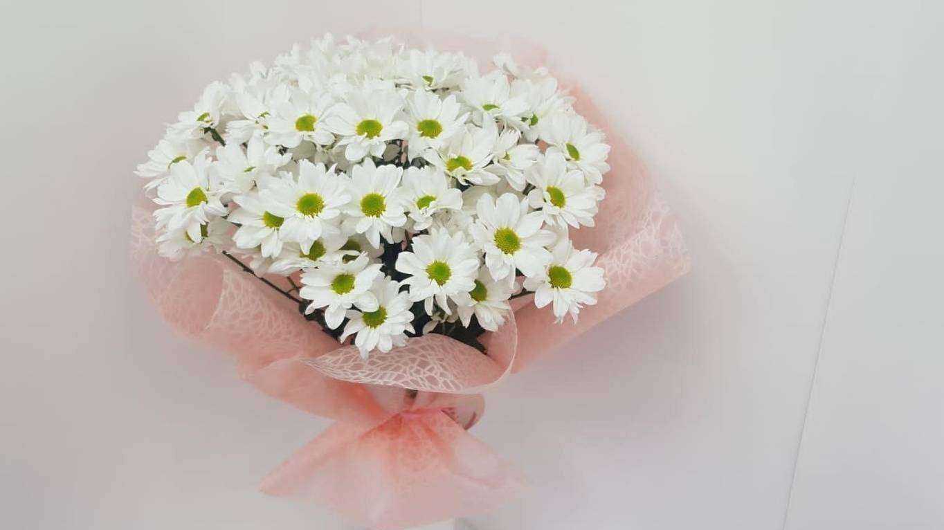 Отзывы на компанию Сюрприз в Красноярске c фото