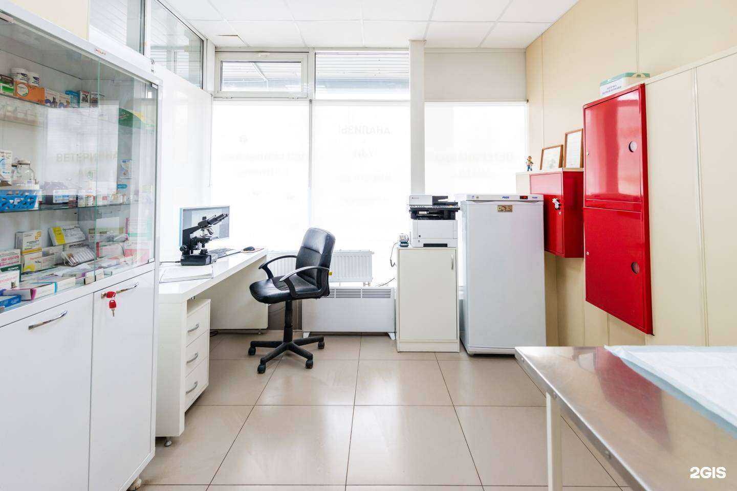 Отзывы на компанию Лапусики в Королёве c фото