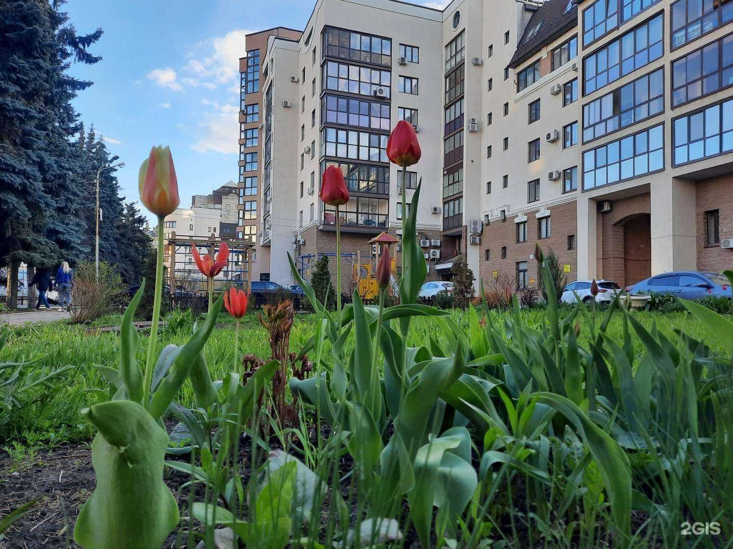 Отзывы на компанию Линлайн в Уфе c фото - фотография 2 из 2