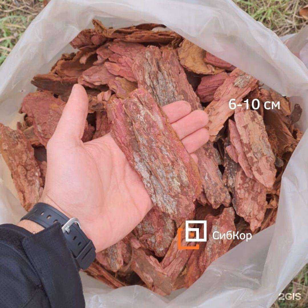 Отзывы на компанию Виола в Новокузнецке c фото