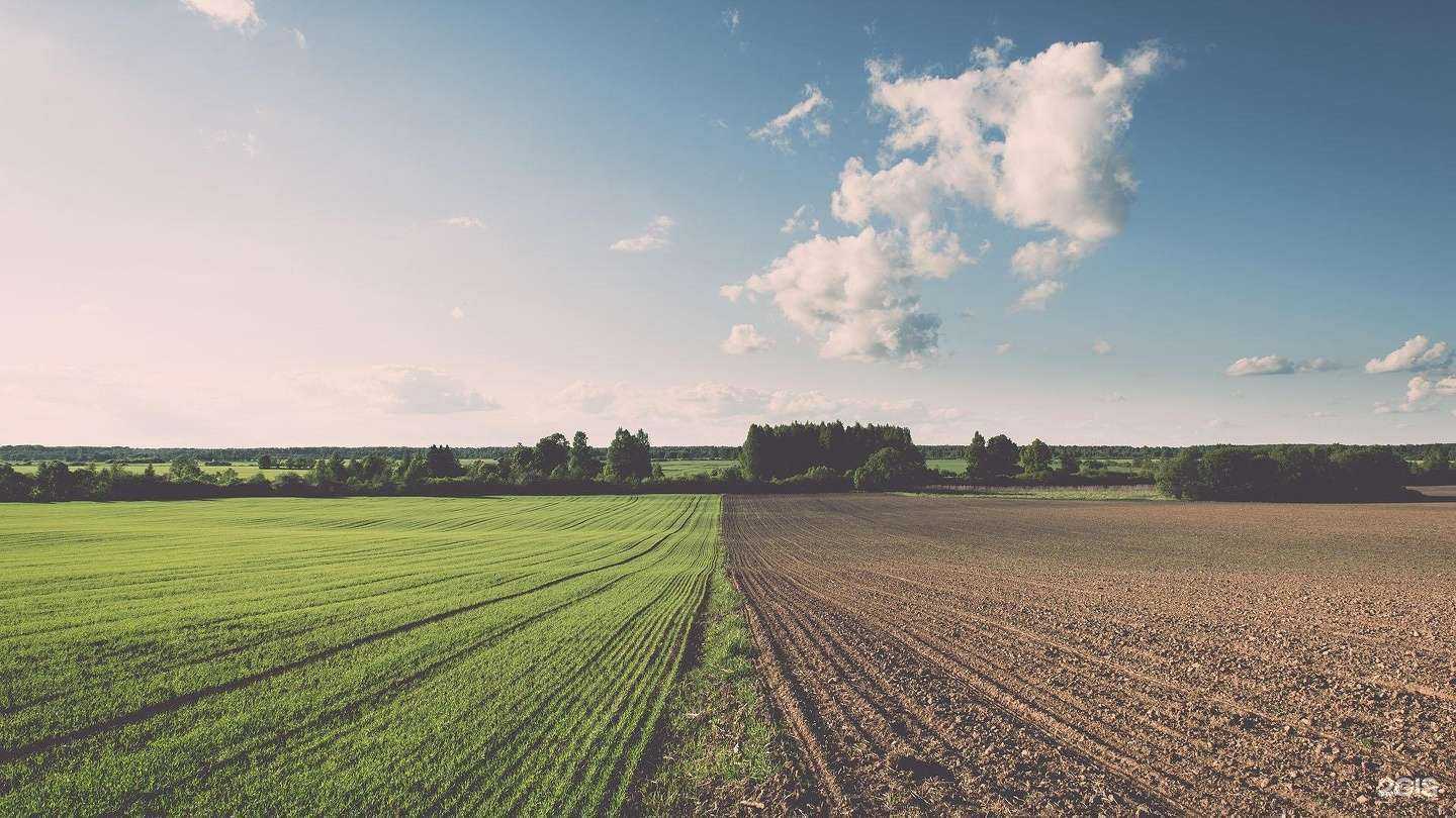 Отзывы на компанию Экологические технологии в Прикамье в г. Пермь c фото