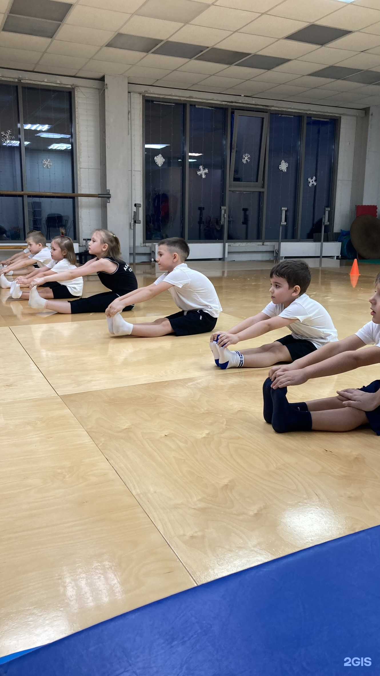 Отзывы на компанию Академия спорта в Новосибирске c фото