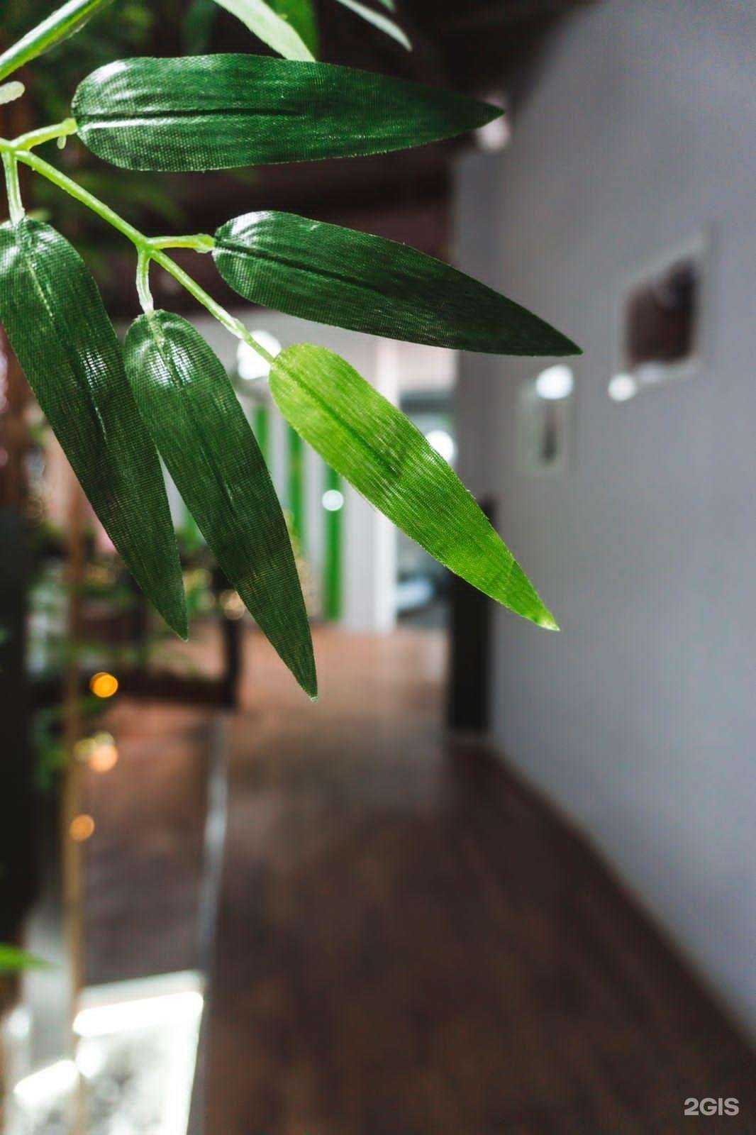 Отзывы на компанию Green fitness в Омске c фото