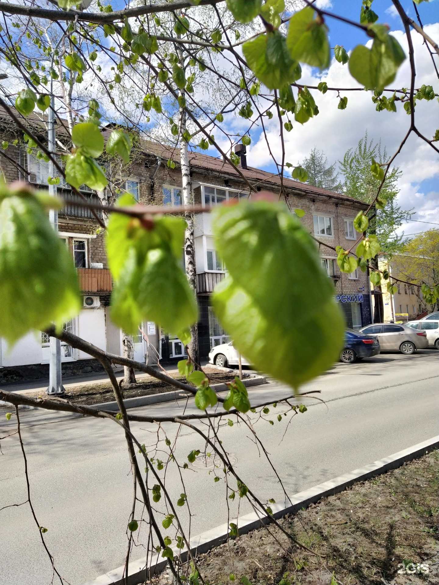 Отзывы на компанию Alibi в Перми c фото - фотография 2 из 2