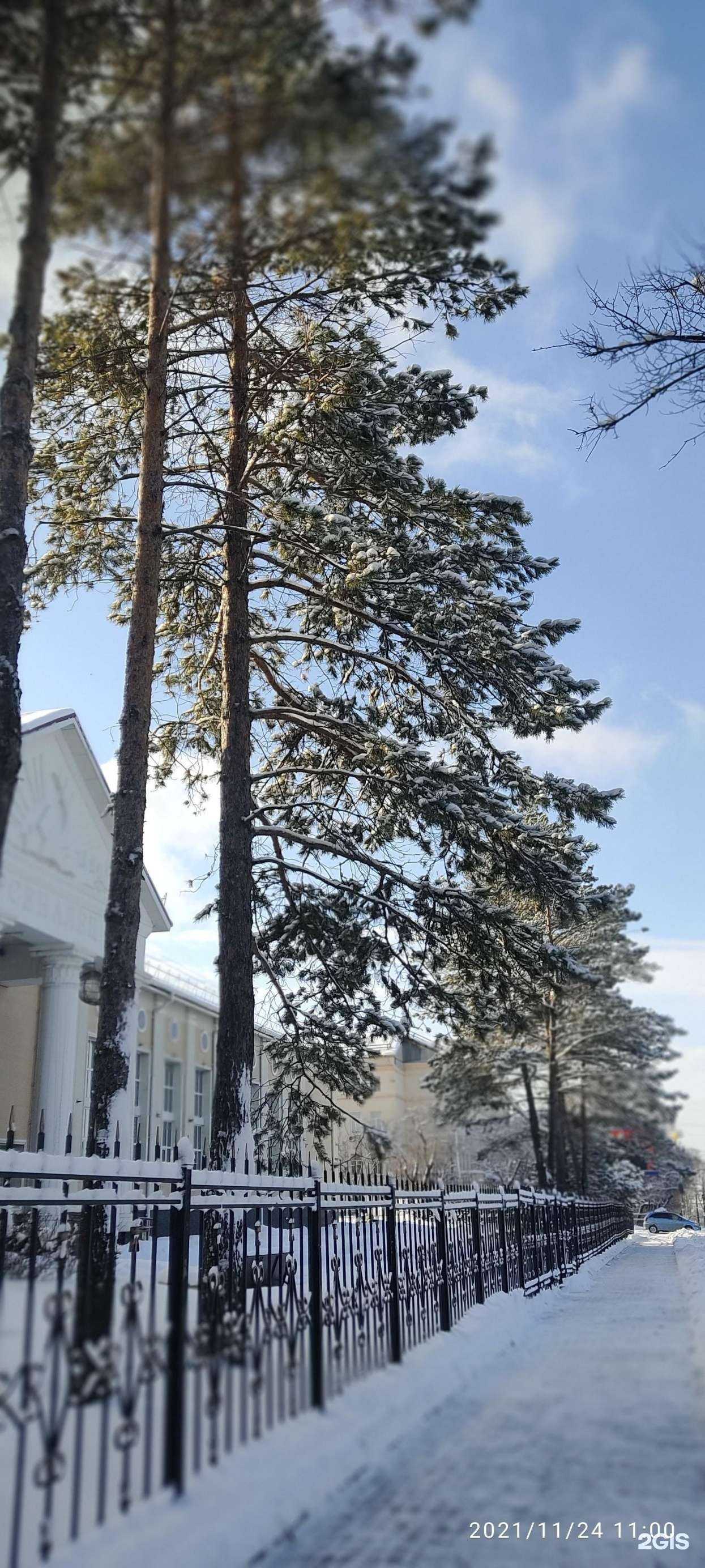 Отзывы на компанию Хабаровский городской центр развития бокса в Хабаровске c фото - фотография 2 из 2