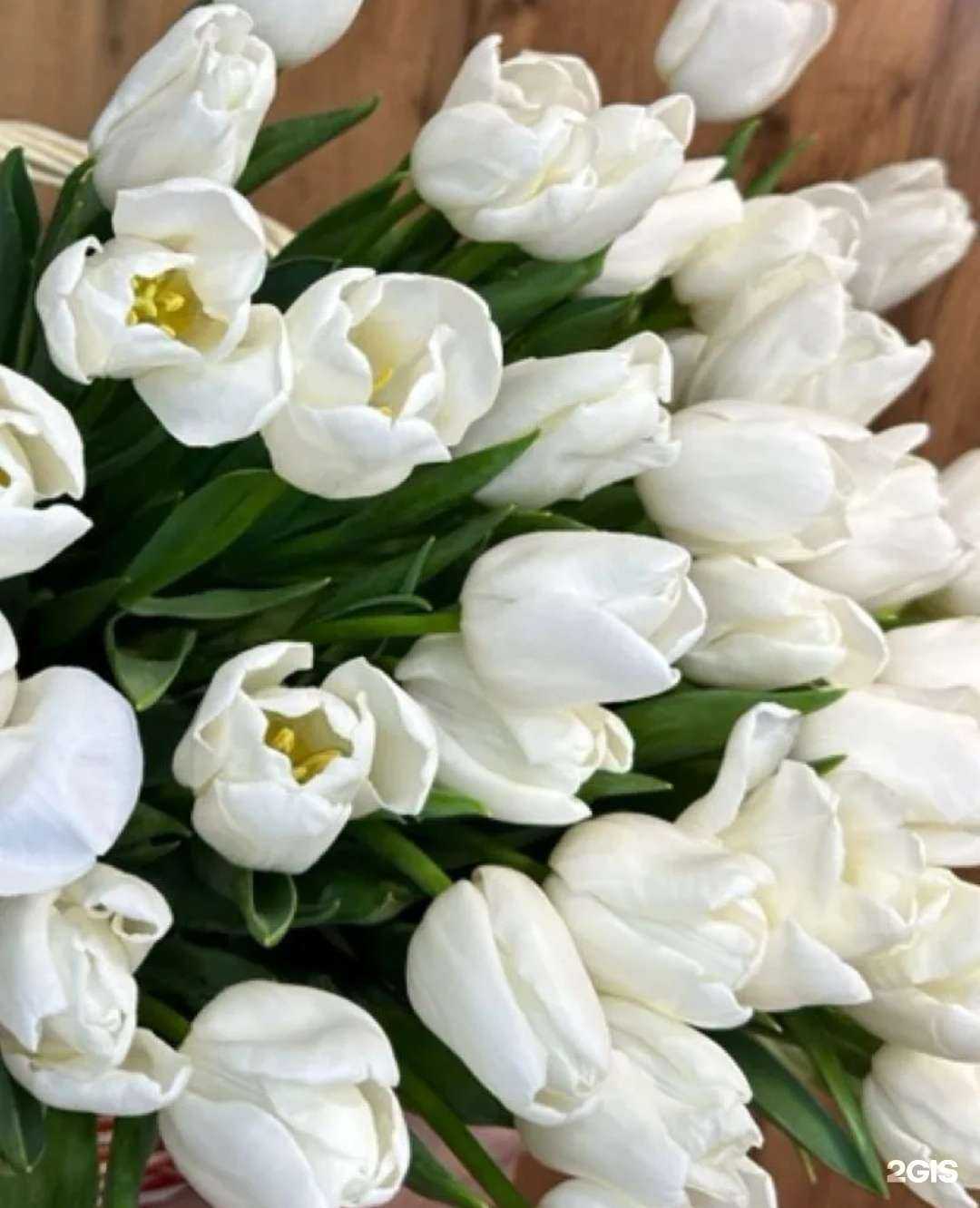 Отзывы на компанию Крокус в Барнауле c фото