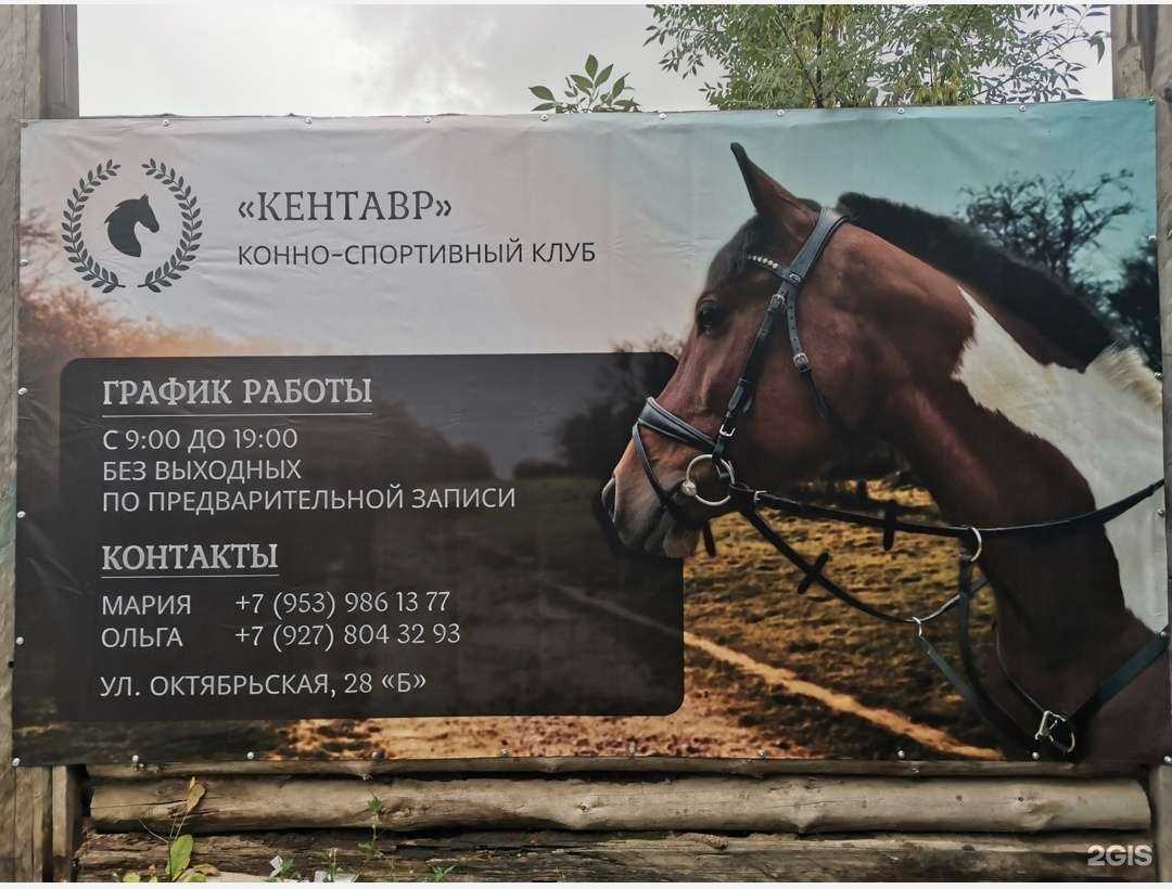 Отзывы на компанию Кентавр в г. Ульяновск c фото