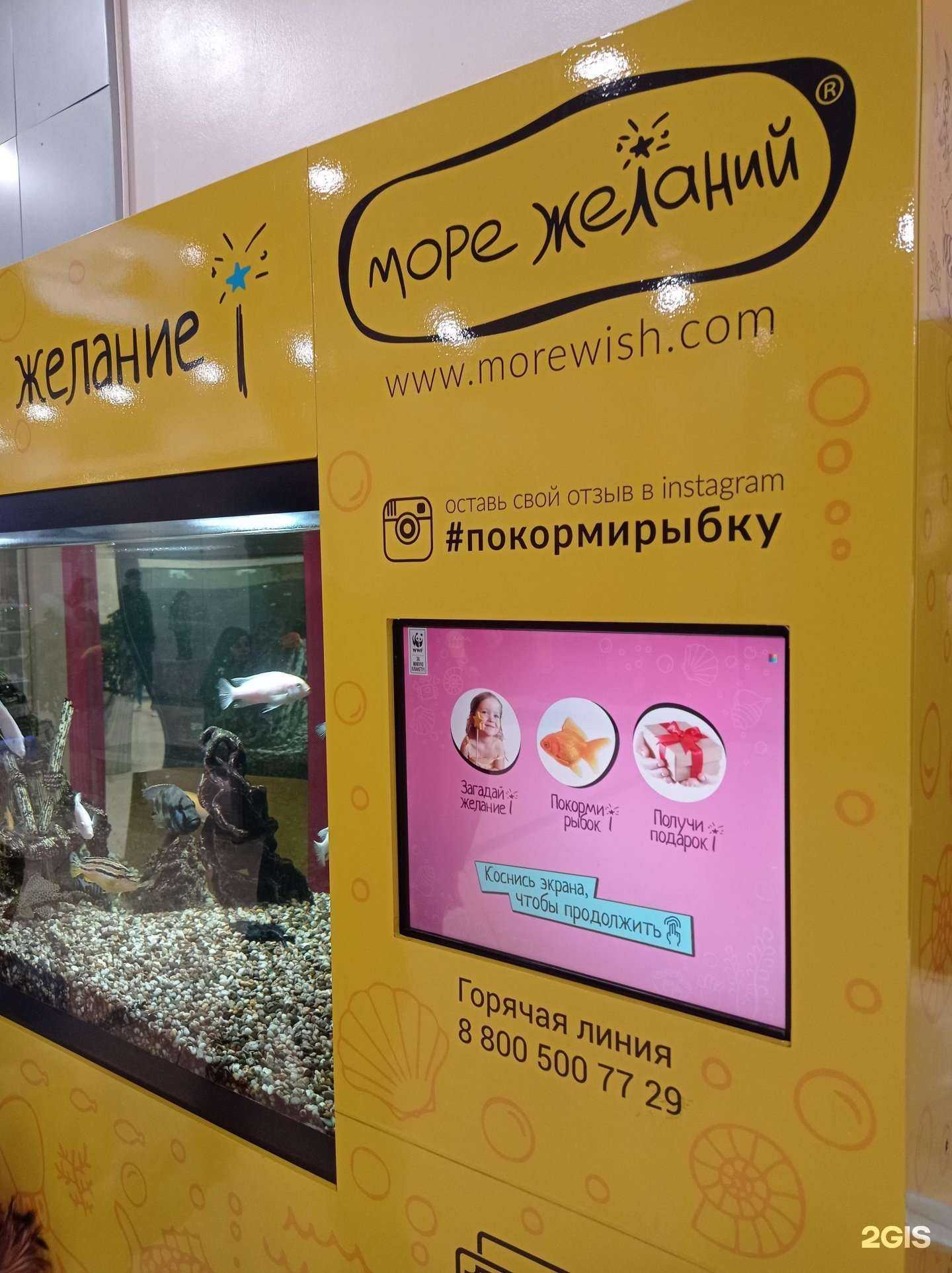 Отзывы на компанию Море желаний в г. Брянск c фото