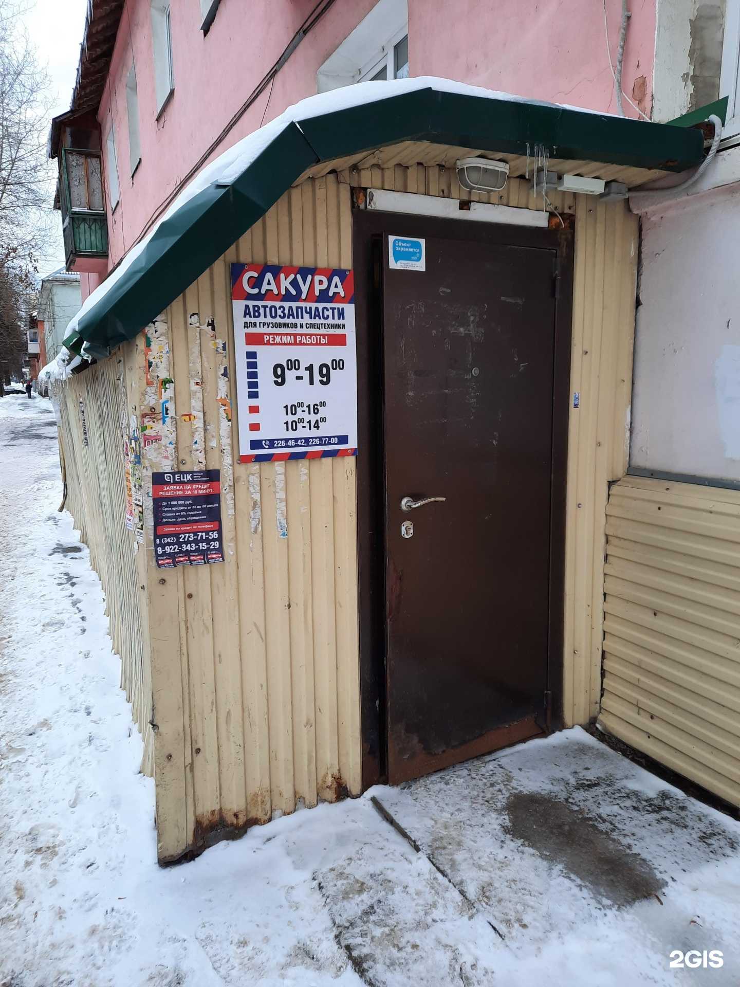 Отзывы на компанию Сакура в Перми c фото