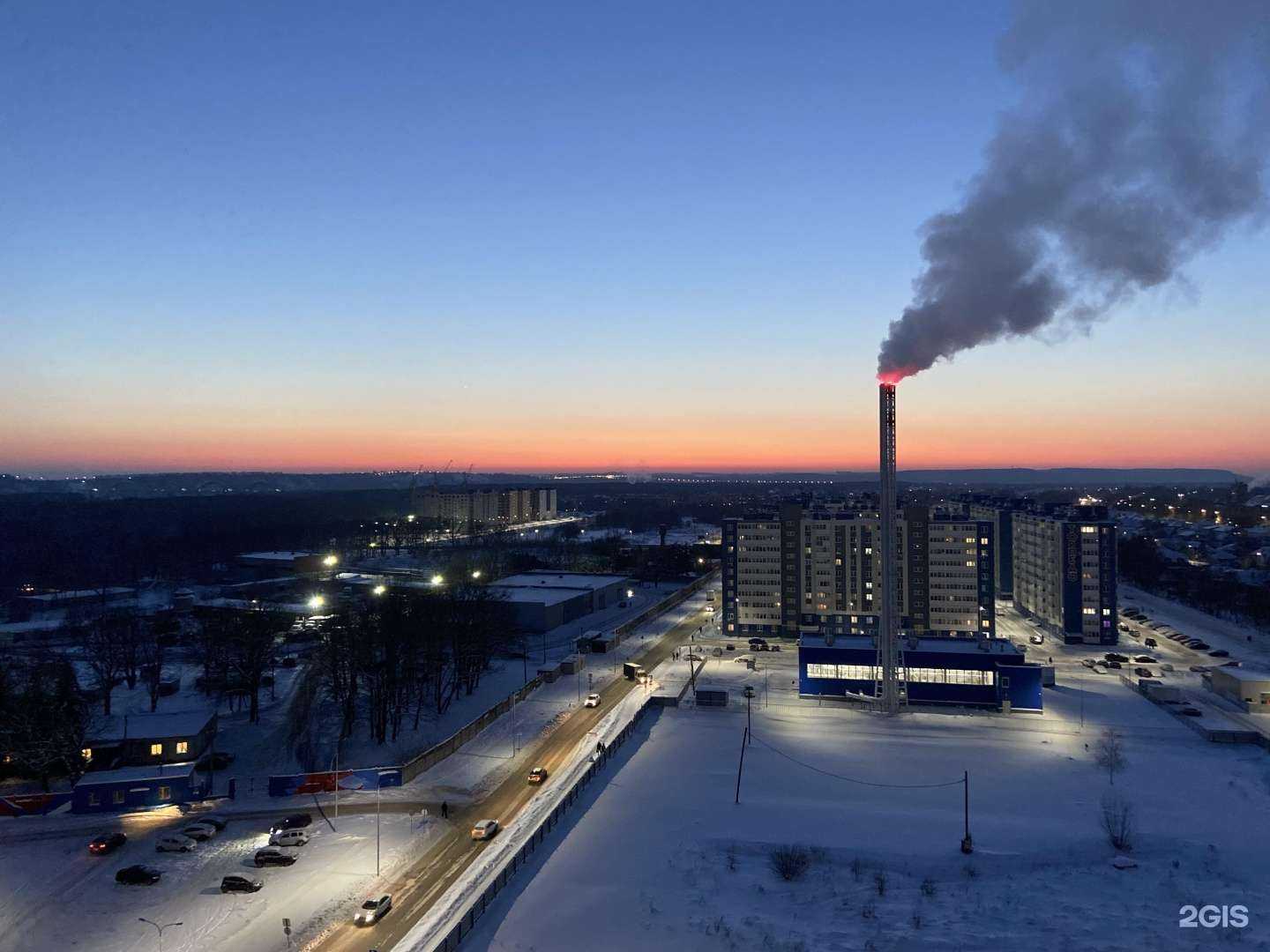 Отзывы на компанию Флора в Нижнем Новгороде c фото - фотография 2 из 2