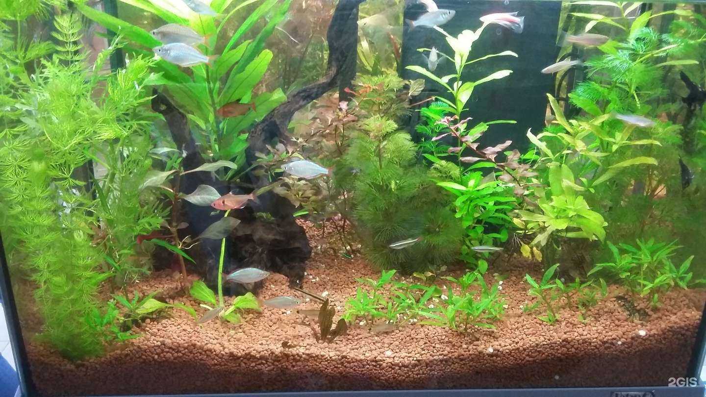 Отзывы на компанию Аквакласс в г. Тула c фото