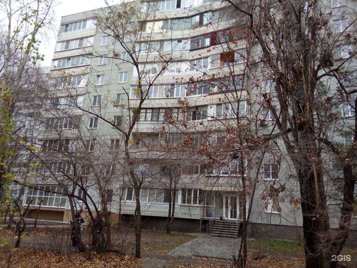 Отзывы на компанию Ёлки-Пальмы в Воронеже c фото - фотография 2 из 2