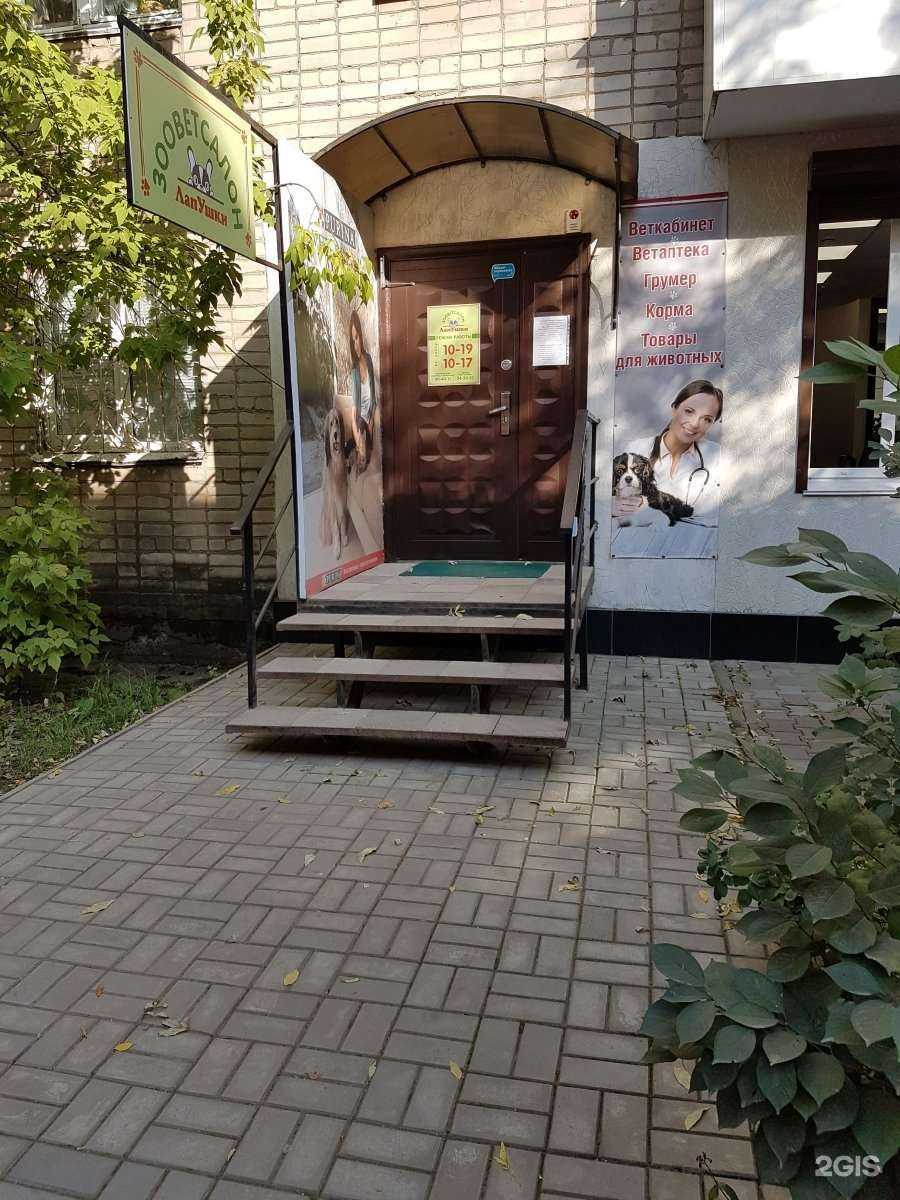 Отзывы на компанию ЛапУшки в г. Смоленск c фото