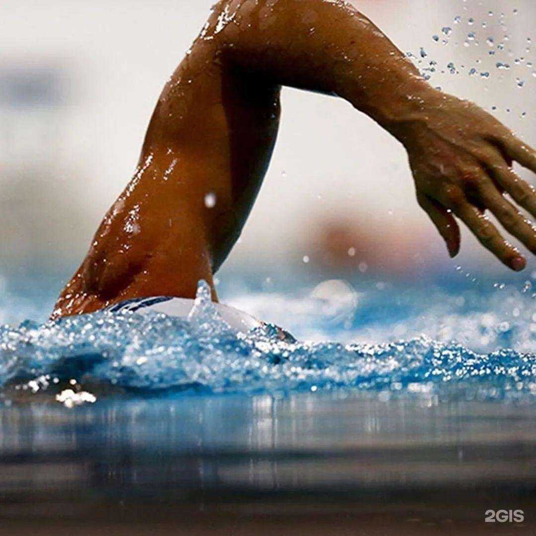 Отзывы на компанию Arena в г. Волгоград c фото